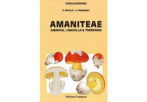Fungi Europaei, Volume 9 - Amanita s.l.