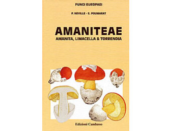 Fungi Europaei, Volume 9 - Amanita s.l.