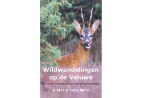 Wildwandelingen op de Veluwe