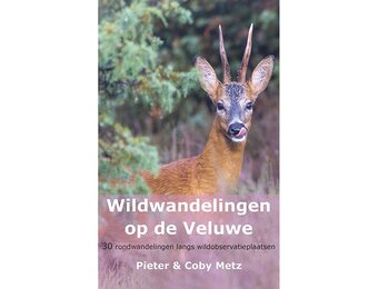 Wildwandelingen op de Veluwe