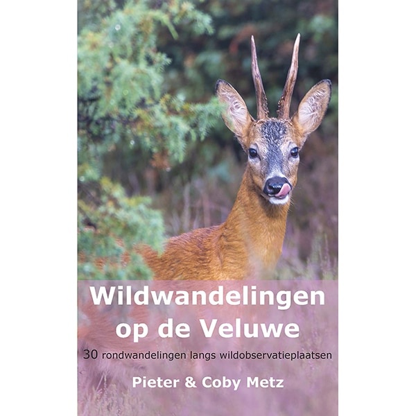 Wildwandelingen op de Veluwe - 30 rondwandelingen langs wildobservatieplaatsen