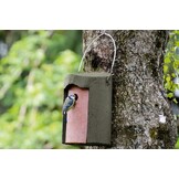 Schwegler Nest Box 1B