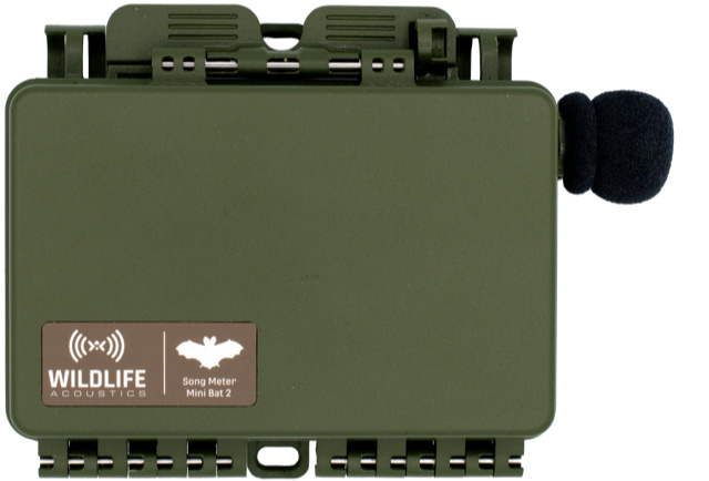 Song Meter Mini Bat 2 Li-ion