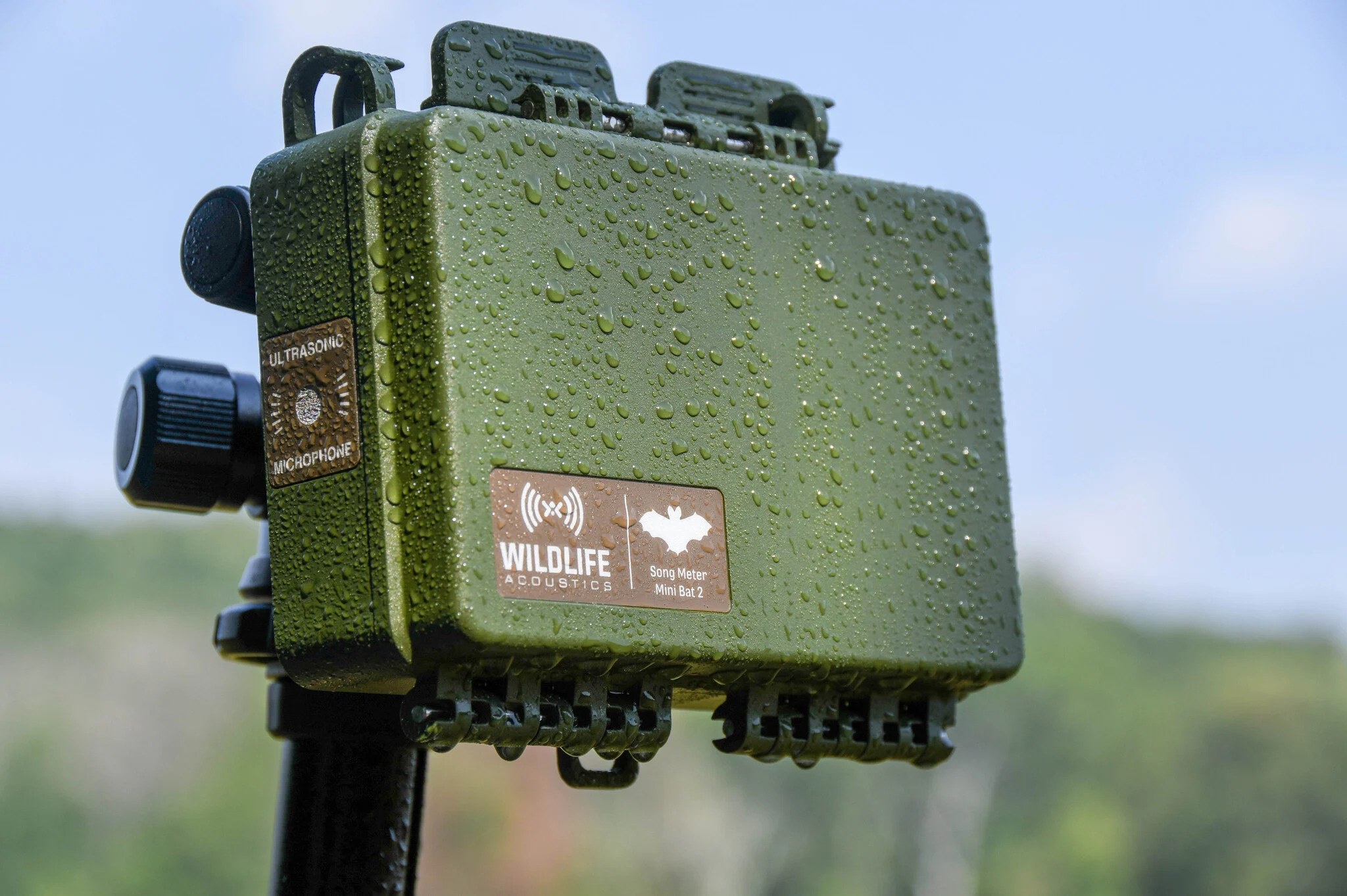 Song Meter Mini Bat 2 AA