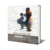 Een leven op en onder water - Gedrag en ecologie van de vijf Europese futensoorten