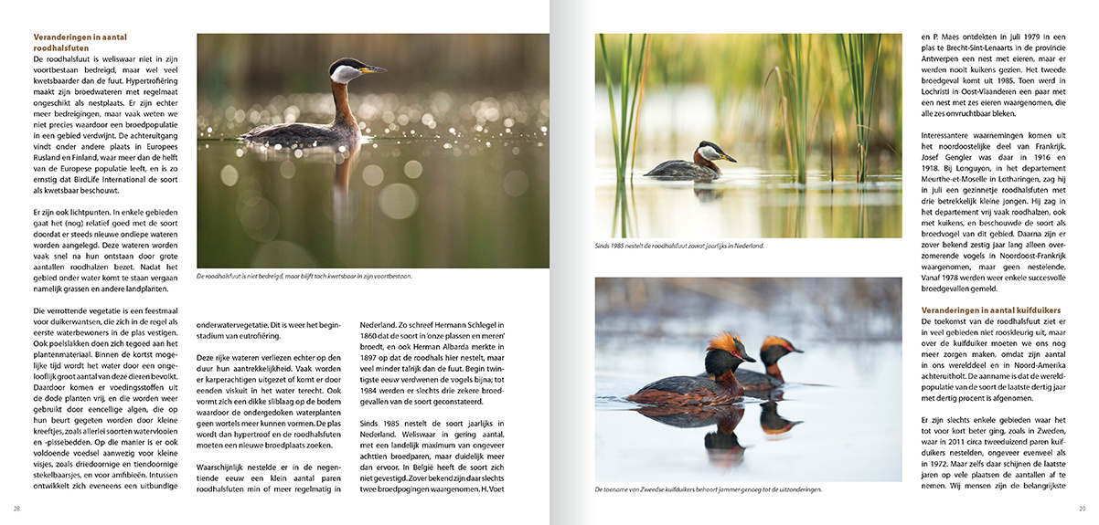 Een leven op en onder water - Gedrag en ecologie van de vijf Europese futensoorten