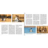 Een leven op en onder water - Gedrag en ecologie van de vijf Europese futensoorten