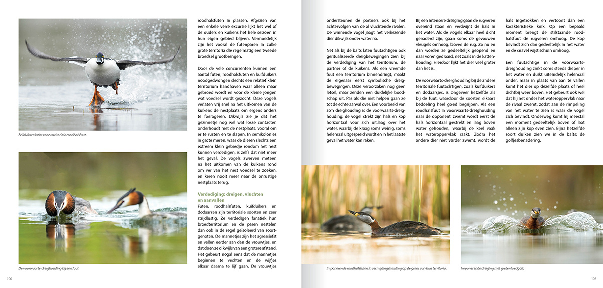 Een leven op en onder water - Gedrag en ecologie van de vijf Europese futensoorten