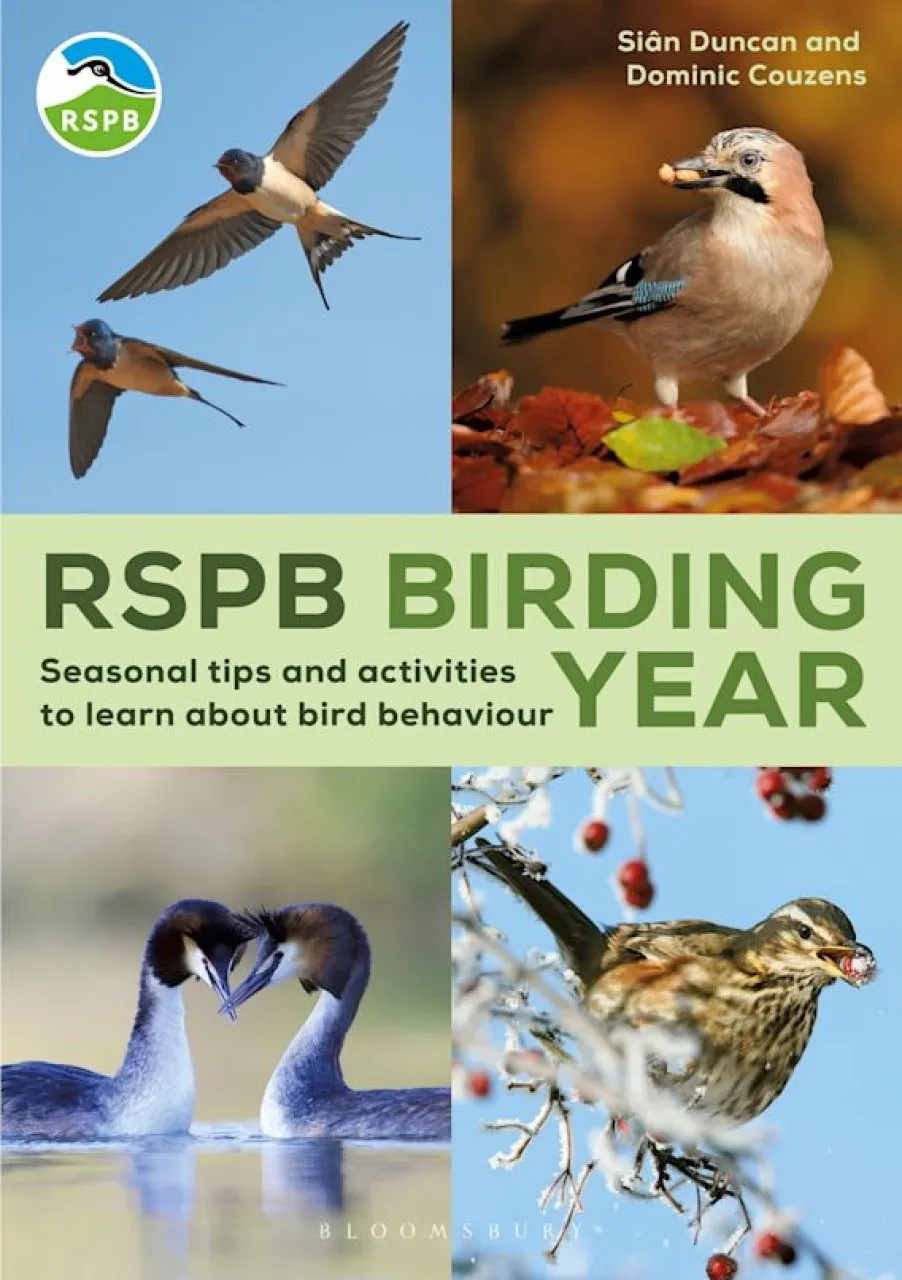 RSPB Birding Year - Seasonal tips and activities to learn about bird behaviour