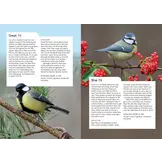 RSPB Birding Year - Seasonal tips and activities to learn about bird behaviour