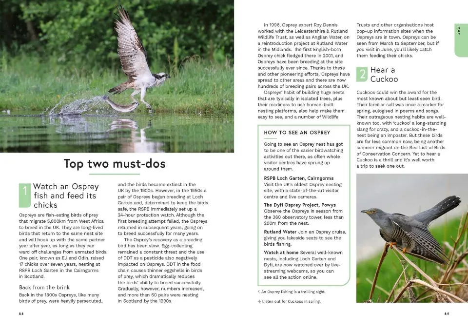 RSPB Birding Year - Seasonal tips and activities to learn about bird behaviour
