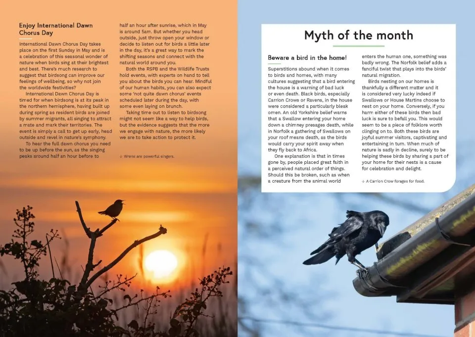 RSPB Birding Year - Seasonal tips and activities to learn about bird behaviour