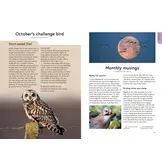 RSPB Birding Year - Seasonal tips and activities to learn about bird behaviour