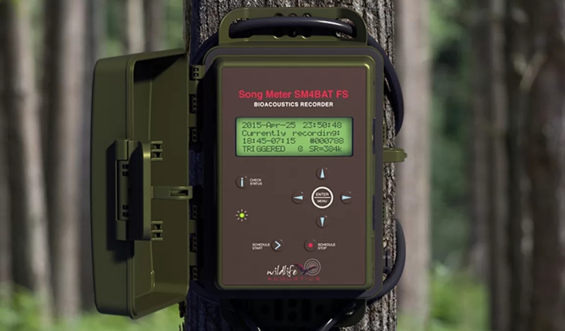 Vleermuizen detecteren met Wildlife Acoustics