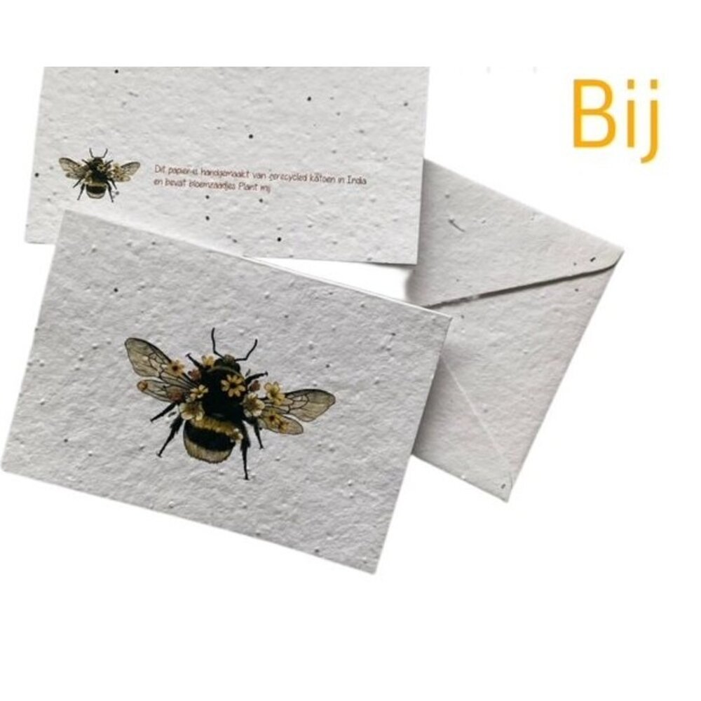 Seeded Paper Insect Cards - Veldshop