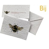 Seeded Paper Insect Cards - 5 types