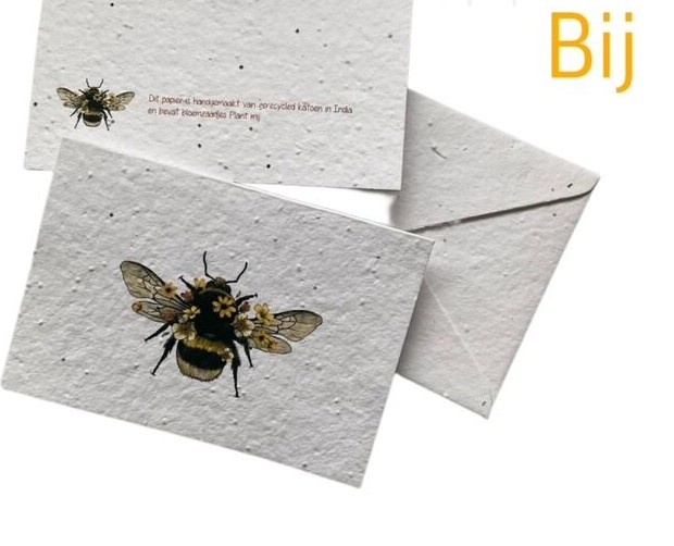 Groeipapierkaarten - Insecten - 5 soorten