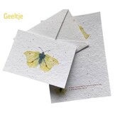 Insekten-Samenpapier-Karte – 5 Sorten