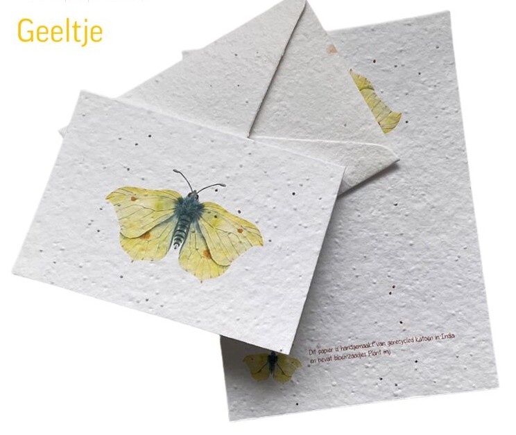 Insekten-Samenpapier-Karte – 5 Sorten