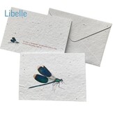 Insekten-Samenpapier-Karte – 5 Sorten