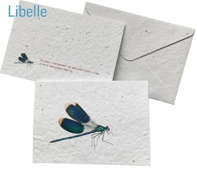Insekten-Samenpapier-Karte – 5 Sorten
