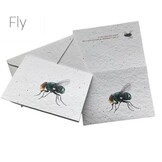 Seeded Paper Insect Cards - 5 types