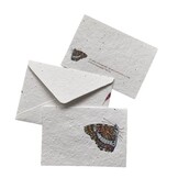 Insekten-Samenpapier-Karte – 5 Sorten