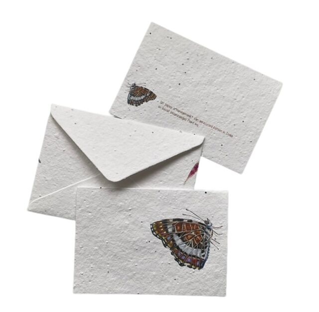 Insekten-Samenpapier-Karte – 5 Sorten