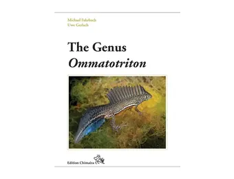 The Genus Ommatotriton