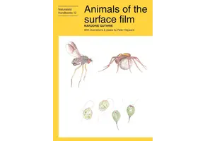 Animals of the surface film