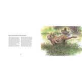 Dierbare herinneringen van een Biesboschbewoner