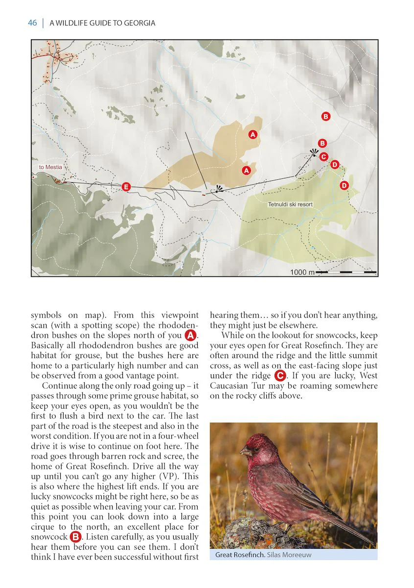 A Wildlife Guide to Georgia
