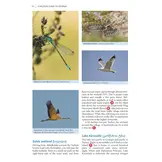 A Wildlife Guide to Georgia