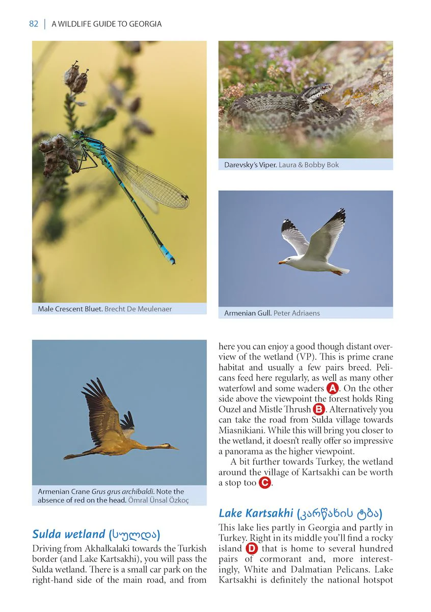 A Wildlife Guide to Georgia