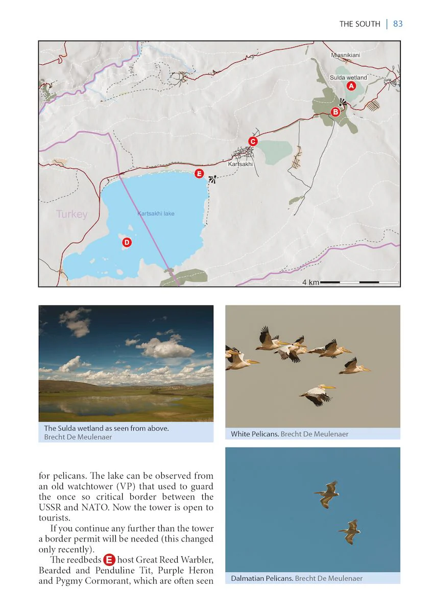 A Wildlife Guide to Georgia