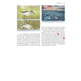 A Wildlife Guide to Georgia