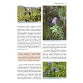 A Wildlife Guide to Georgia