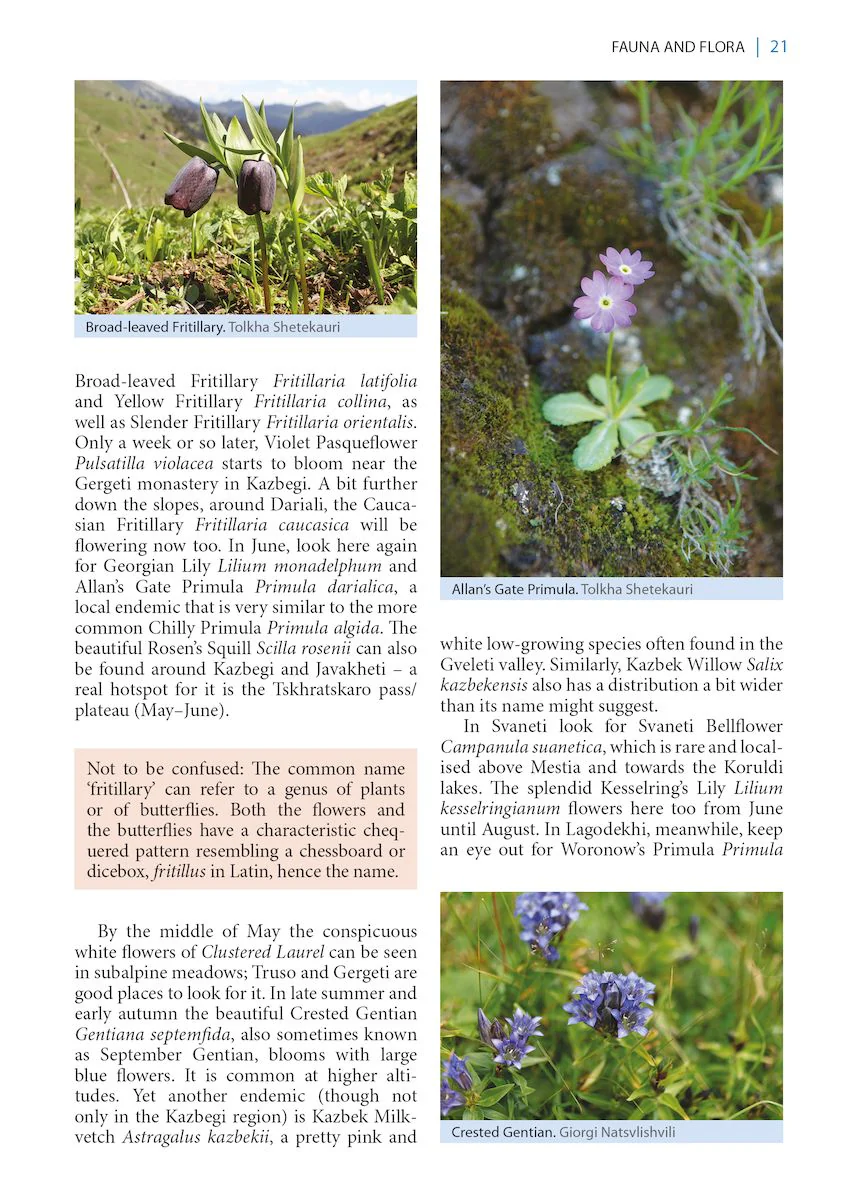 A Wildlife Guide to Georgia