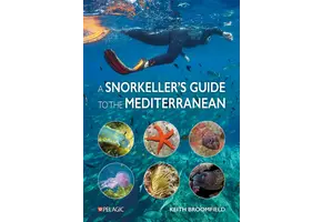 A Snorkeller’s Guide to the Mediterranean