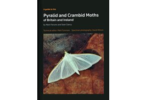 A Guide to the Pyralid and Crambid Moths of Britain and Ireland