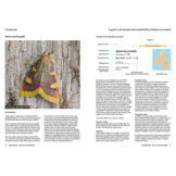 A Guide to the Pyralid and Crambid Moths of Britain and Ireland