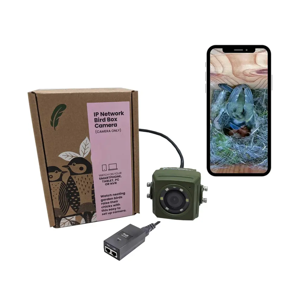 Green Feathers Bird Watch Bird Box Free Now Green Feathers Wired