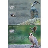 A Photographic Field Guide to the Birds of the Himalayas and South Assam Hills