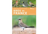 Birds of France