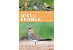 Birds of France