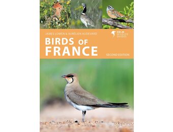 Birds of France