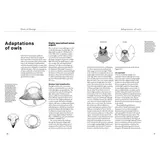 Owls of Europe - Biology, Identification and Conservation