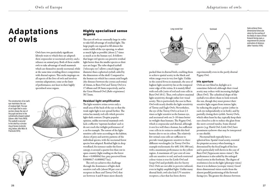 Owls of Europe - Biology, Identification and Conservation