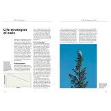 Owls of Europe - Biology, Identification and Conservation