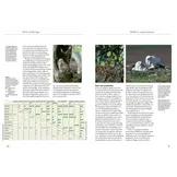 Owls of Europe - Biology, Identification and Conservation